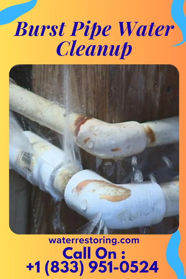 Burst Pipe Water Cleanup in Foscoe, NC