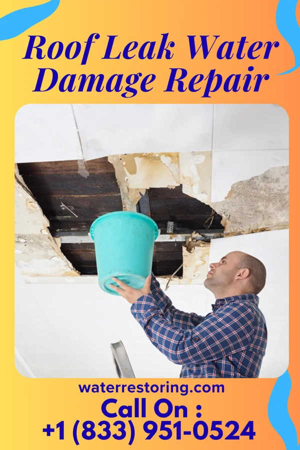 Roof Leak Water Damage Repair in Foscoe, NC